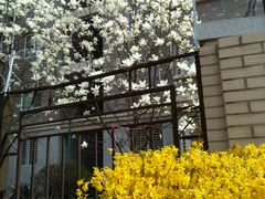 -比尔斯健康烤肉自助餐厅