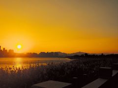 -江心屿景区