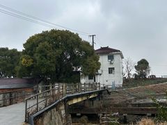 -金山嘴渔村