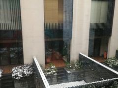 -上海崇明金茂凯悦酒店