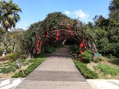 -广西壮族自治区药用植物园