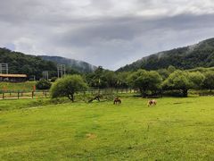 -大水川景区