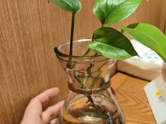 -三天打鱼(奥体店)
