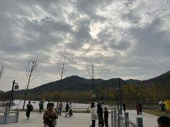-千年银杏谷文化旅游区