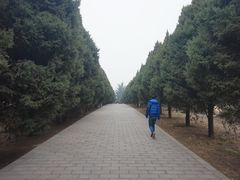 -秦始皇帝陵博物院-丽山园
