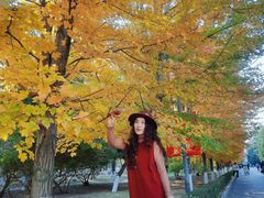 -辽宁大学(崇山校区)