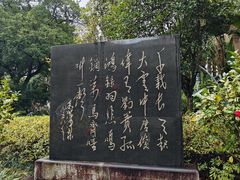 -柳侯公园
