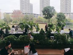 -SAANCI山池咖啡(海上世界文化艺术中心店)