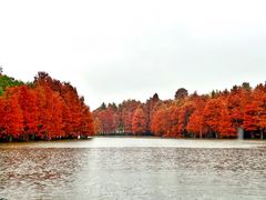 -尚湖风景区