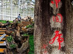 -横道河子东北虎林园