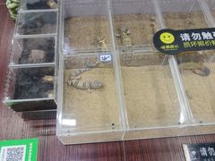 -三旗百汇商品城