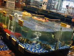 -大门水乡·顺德菜