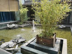 -竹雨堂创意中国菜(裕华店)