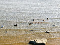 -深圳湾公园(南山区)