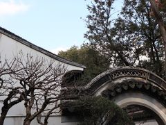 -秋霞圃
