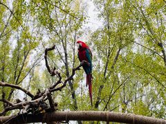 -北京野生动物园