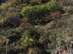 -沕沕水生态风景区