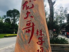 -龙大哥辣子鸡(双龙店)