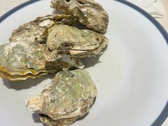 -杨氏青龙虾·羊蝎子(托乐嘉店)