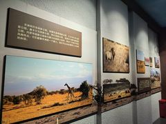 -国家自然博物馆