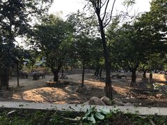 -西安秦岭野生动物园