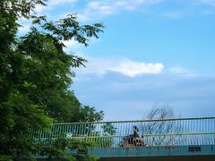 -白鹭湾湿地公园