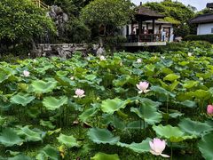 -惠州西湖丰渚园