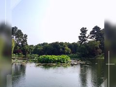-西湖游船