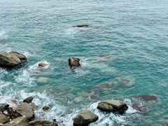 -广东惠东海龟国家级自然保护区