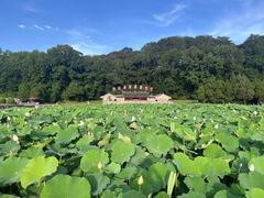 -古田会议纪念馆