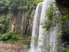 -成都大熊猫繁育研究基地