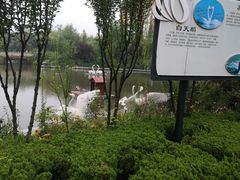 -临沂动植物园