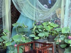 -花之城