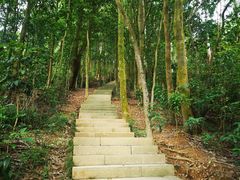 -深圳仙湖植物园