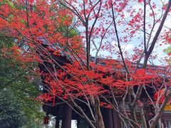 -南京东郊国宾馆