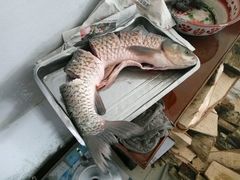 -木火铁锅炖活鱼(赤城分店)