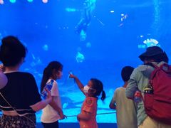 -烟台海昌鲸鲨海洋公园