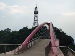 -金鸡山公园
