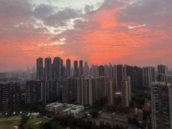 -禧月荟S月子中心(侨城店)