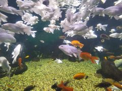 -常州海昌海洋探索馆