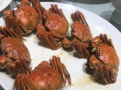 -双子楼大酒店(城开国际写字楼店)
