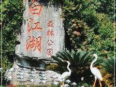 -广州白江湖森林公园