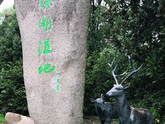 -溱湖国家湿地公园