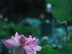 -长广溪湿地公园