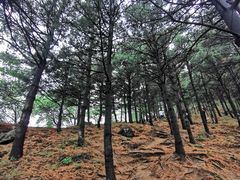 -妙峰山风景名胜区