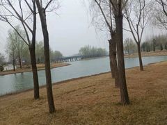 -呷哺呷哺 黄金牧场 (枣强吉美购物广场店)