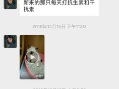 -瑞派雷欧宠物医院·中兽医·眼科·急重症转诊中心(黄台店)