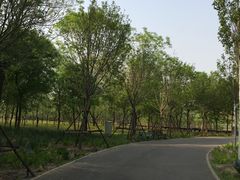 -东郊湿地公园