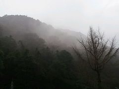 -宁海森林温泉