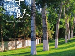 -西海子公园